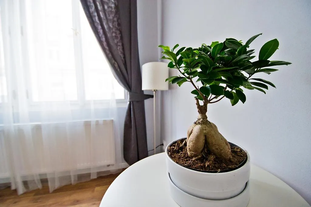 Appartamento Business Class Ruterra Suite Praga Repubblica Ceca